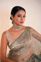 Belwari Jamdani Saree