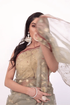 Belwari Jamdani Saree