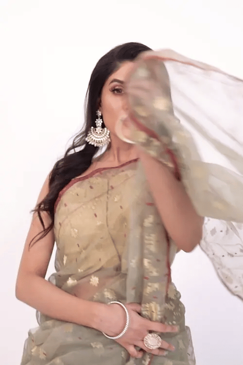 Belwari Jamdani Saree
