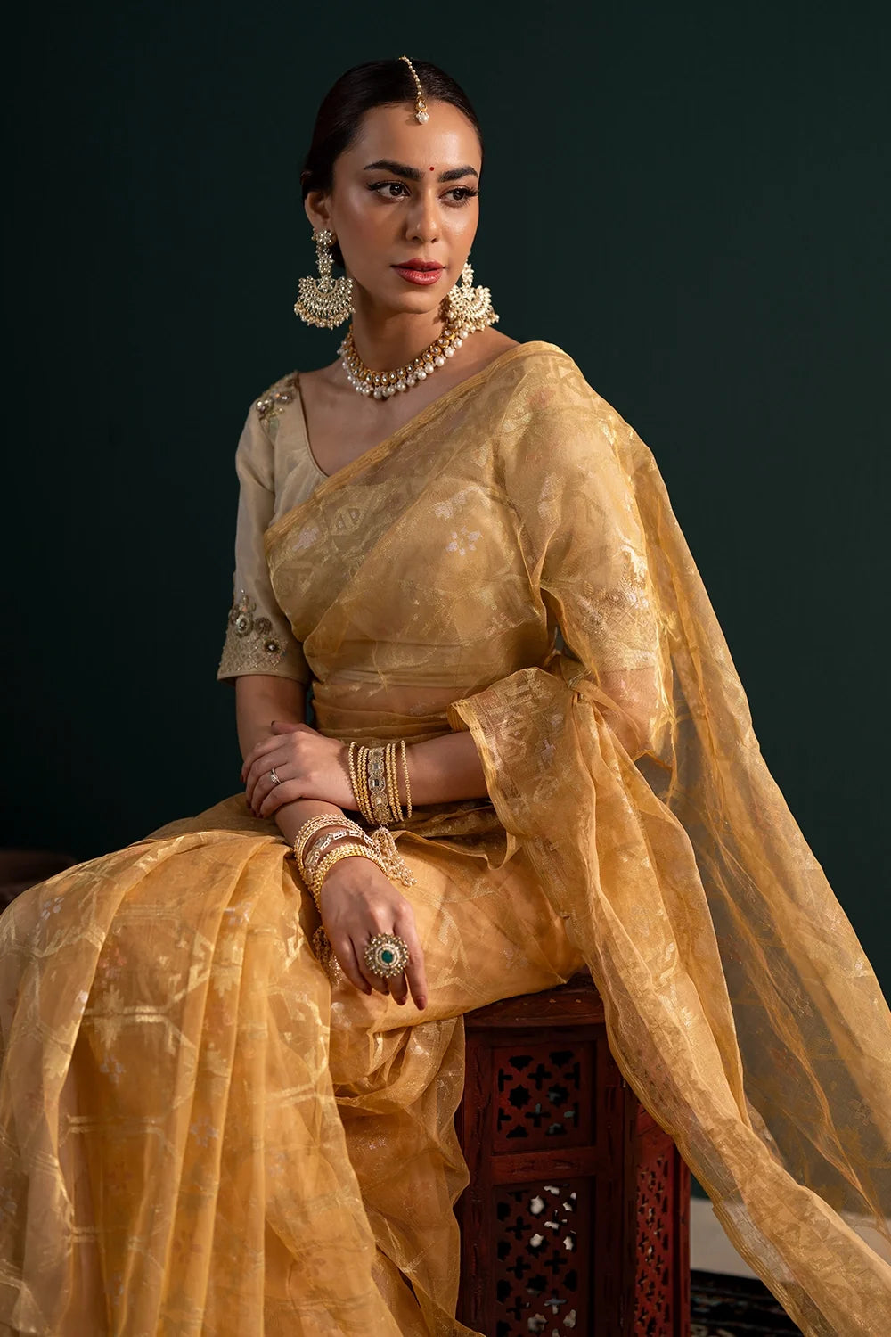 Belwari Jamdani Saree