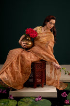 Belwari Jamdani Saree