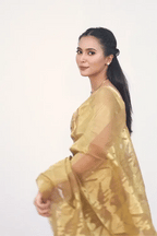 Belwari Jamdani Saree