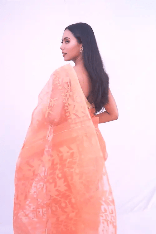 Belwari Jamdani Saree