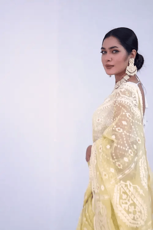 Belwari Jamdani Saree