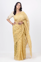Belwari Jamdani Saree
